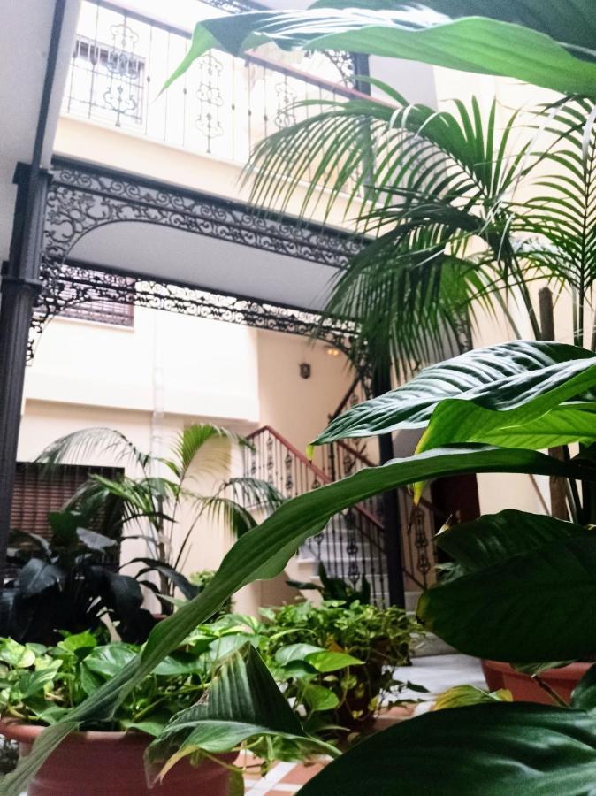 Botanic Suite Малага Экстерьер фото